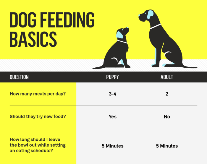 How often should dogs eat beef