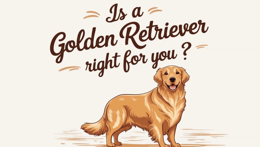 Illustration of a happy golden retriever standing with text asking if a golden retriever is right for you.